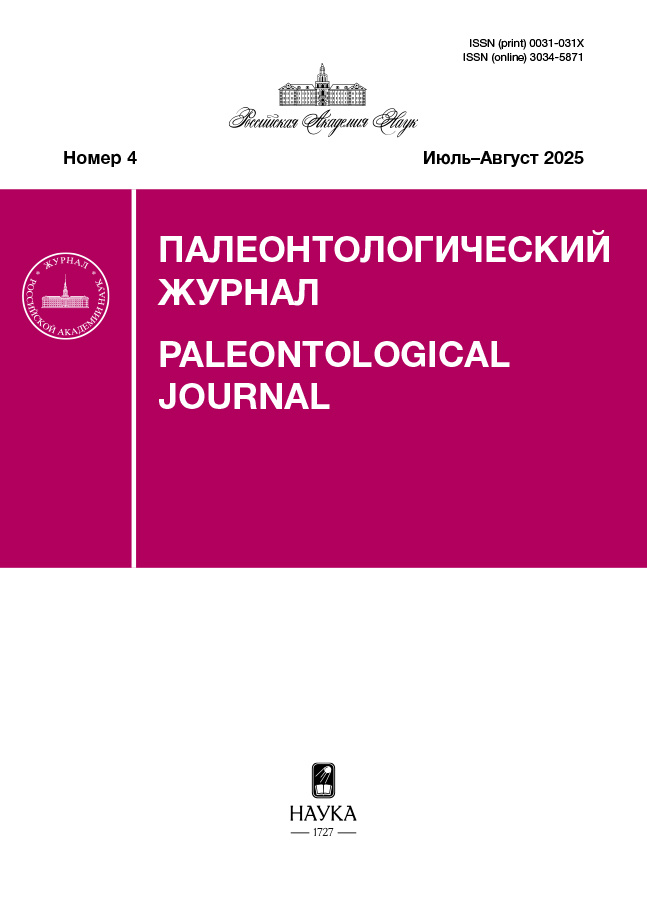 Page Header Logo